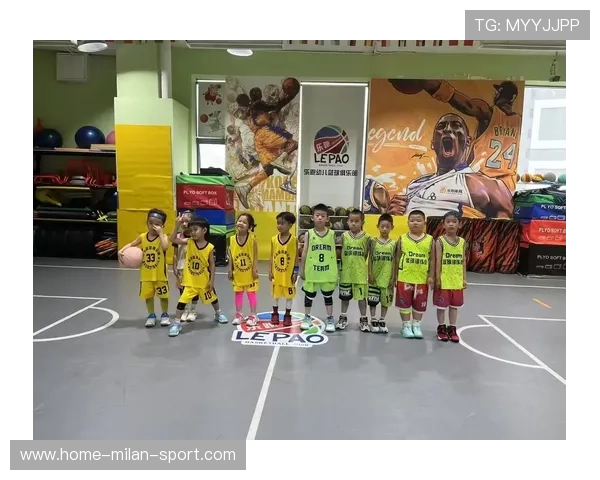 篮球类游戏在中国青少年中的消费行为分析，青少年篮球游戏100例